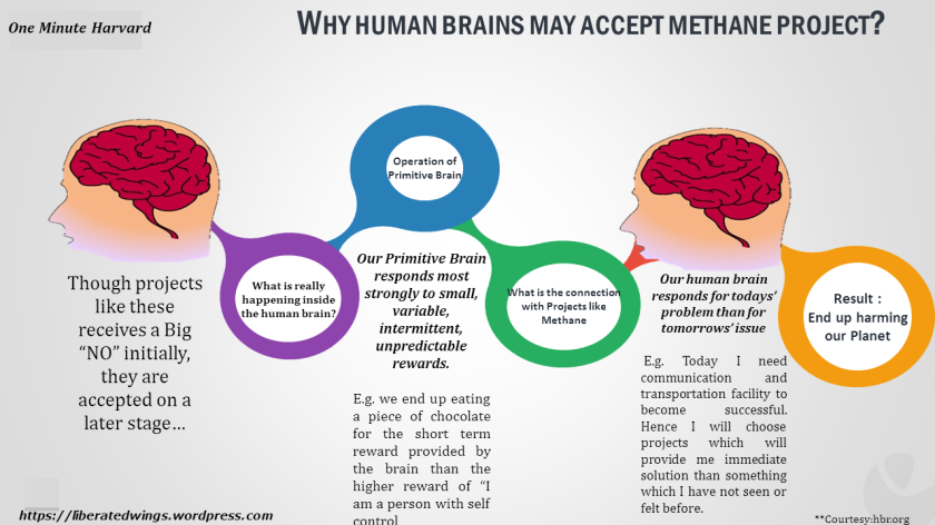 why human brain may accept